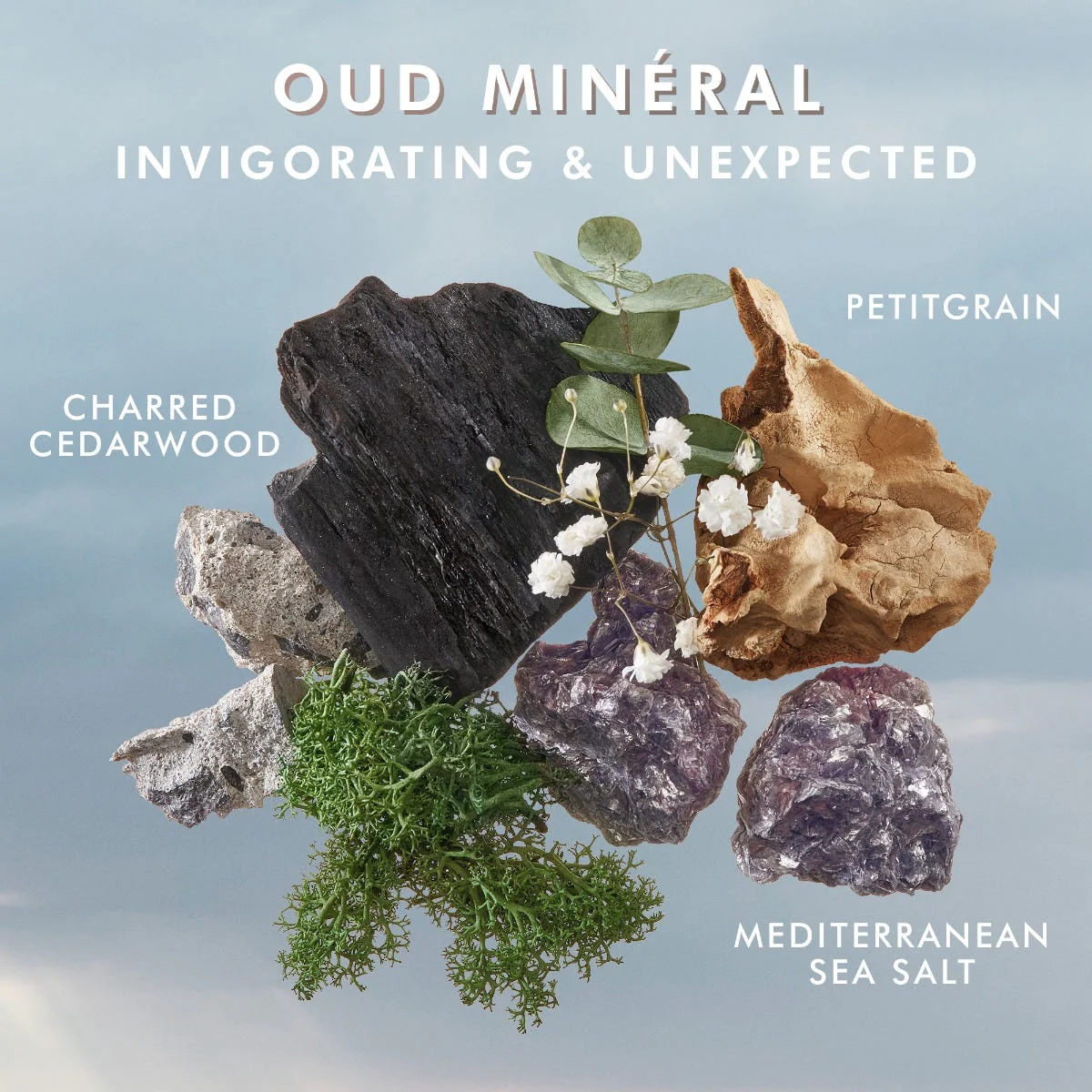 תמונת מוצר 4